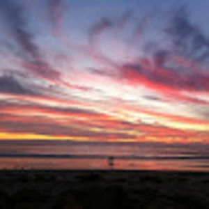 Meet your Posher, Joanna